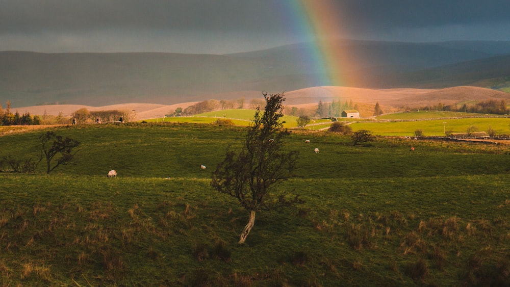Symbolic Authority: Rainbow over the Yorkshire Dales
