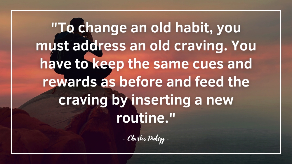 To change an old habit you must address an old craving. You have to keep the same cues and rewards