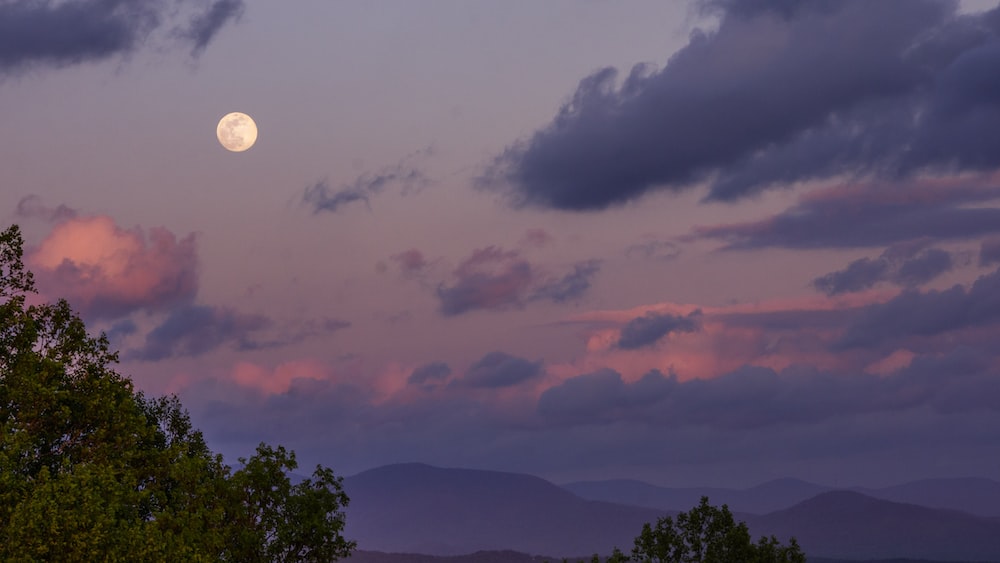 Twilight in the Cohutta Wilderness