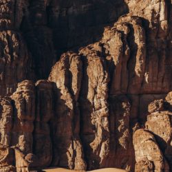 What Is Perseverance