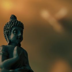 What Is The Difference Between Mindfulness And Meditation