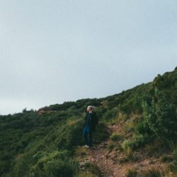 Willpower Self Discipline